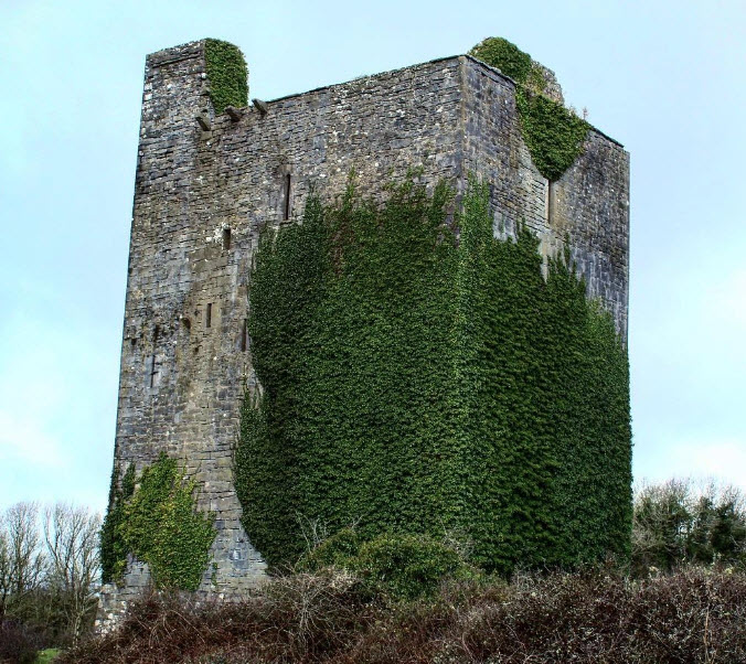 Lisnacullia Castle, Coolcappa, Ireland, Ireland